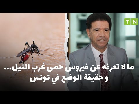 ما لا تعرفه عن فيروس حمى غرب النيل و حقيقة الوضع في تونس الد كتور محجوب العوني يكشف