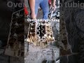 Explorer 2018 o overhaul
