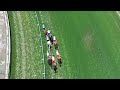 Drone Footage - Dynodave wins Race 1 on Monday, June 15 at Santa Anita Park