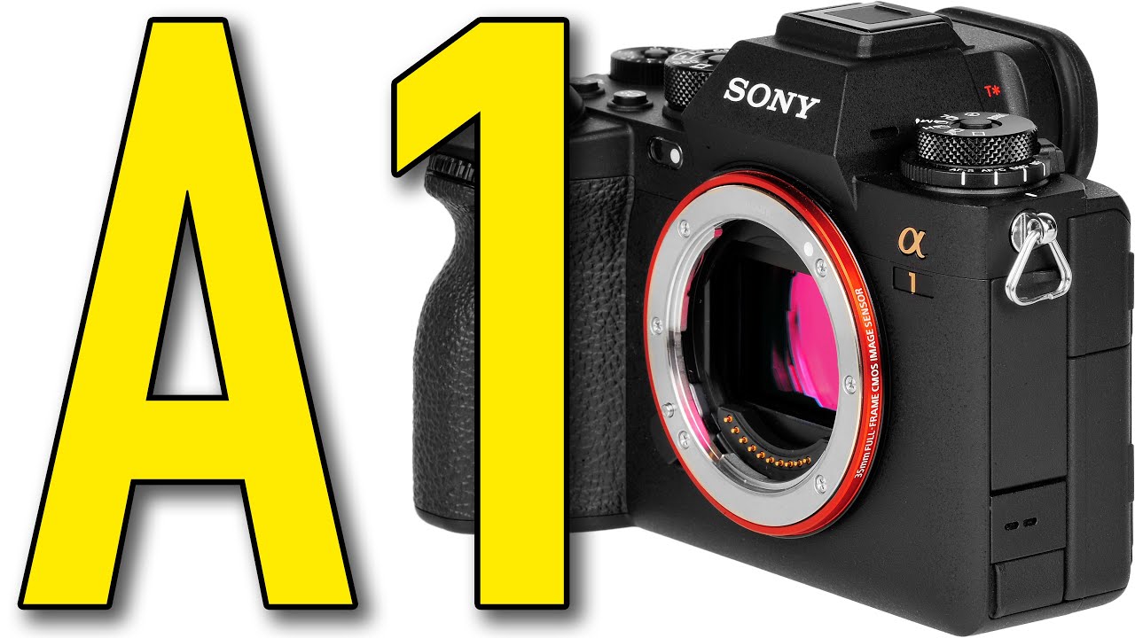 Sony A7 IV Review & Sample Images by Ken Rockwell