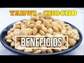 Tarwichocho beneficios y propiedades nutricionales