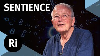 How did consciousness evolve? - with Nicholas Humphrey
