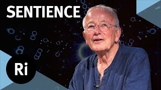 How did consciousness evolve?  with Nicholas Humphrey