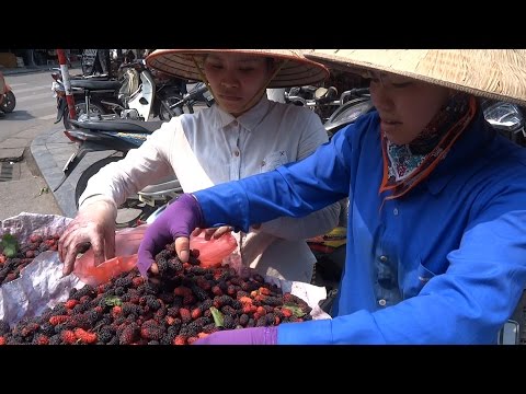 amazing-vietnam,-vietnam-travel,-street-food-in-vietnam,-hanoi-street-food