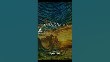 سورة النور آية النور أرح سمعك وتمعن بكلام الله #ديني #اكسبلور #كتب #لايك #العلم #المصحف #تيك_توك