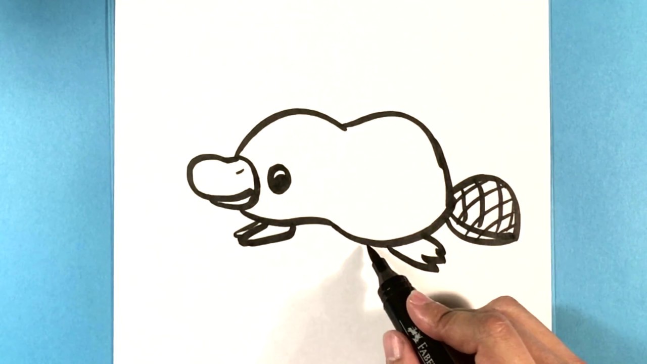 How to draw a Platypus Cute How to Draw Easy Things