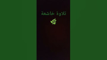 تلاوة القران الكريم | الشيخ بدر التركي | تلاوة الخاشعة | راحة نفسية | اليوم الجمعة 🌿