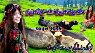 Dhok Meri Maa Aato Kyon Ni __Aa Gay Mehfil Latoo Kyon Nii ||Beautifull Gojri Song || Gojri Video