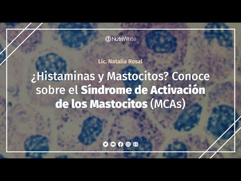 Video: ¿Qué leucocito libera histamina?