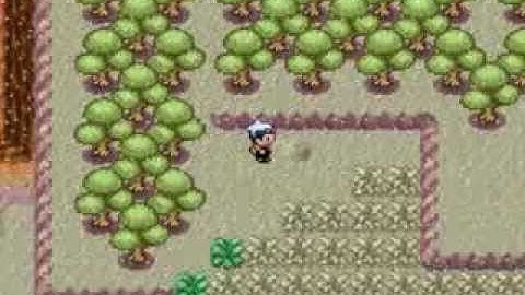 Pokemon Ruby: Part 24 "Falling into Fallarbor"