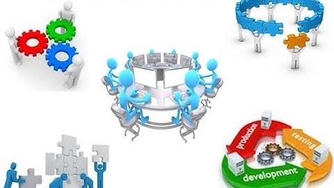 Custom Software Development Solutions Provider Developer Designer Programmer Consultant Analyst