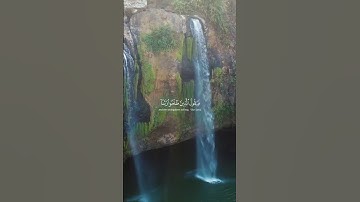 من سوره ابراهيم للقارئ عبدالرحمن مسعد❤️🎧