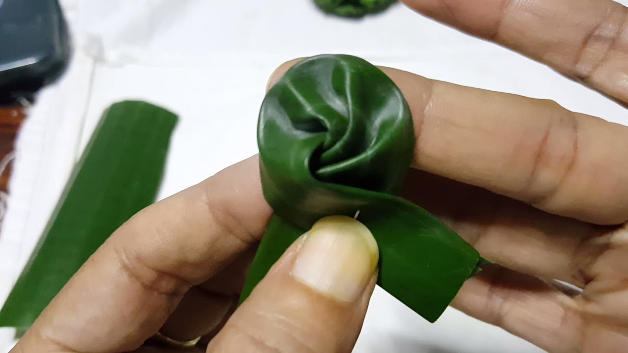 กลีบพัดกระพุ้ง