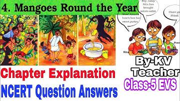Mangoes Round The Year / Class-5 EVS NCERT Chapter 4 Explanation & Question Answers by KV teacher
