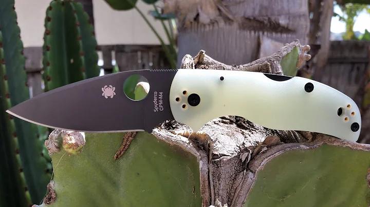 Spyderco Native 5 Blade HQ Jade DLC M4 Exclusive Knife Video