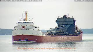 Frontenac w Salute 20200327stl