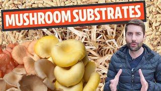 Understanding Mushroom Substrates (What Do Mushrooms Grow On?) screenshot 5