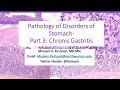 Part 3  Pathology of Gastric Disorders   Chronic Gastritis