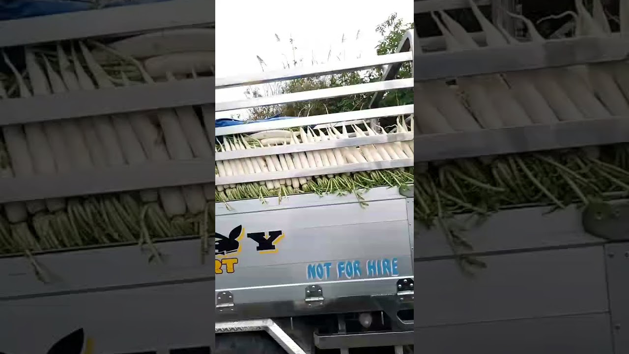 Farmers trucks | vegetables trucks |heavy duty trucks| agricultural transportation trucks 