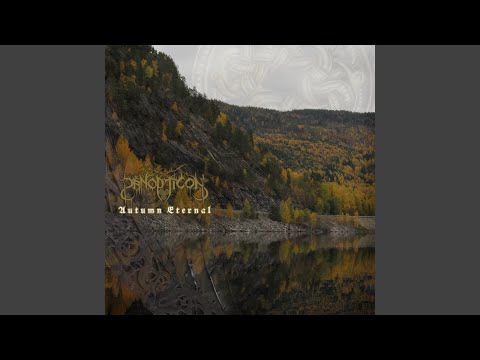 Into the North Woods