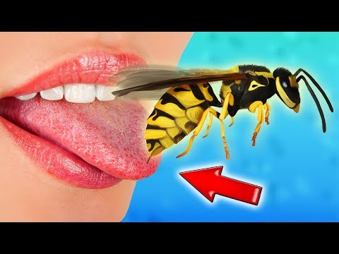 Video: Hvordan bli kvitt bakkegravende hornets?