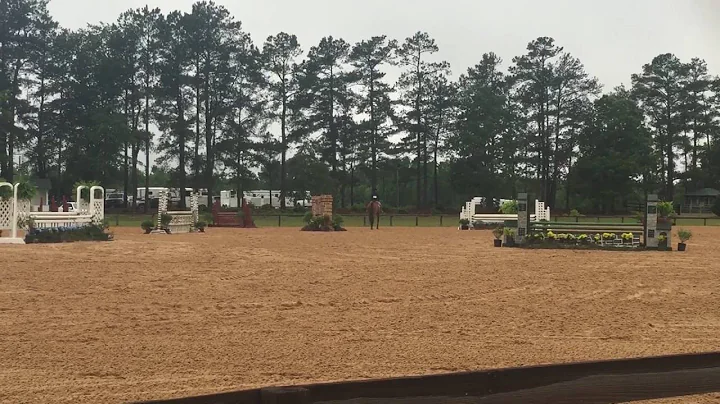 Stacey Ingram and Hey Now - 3'3" A/O Class 2 - Tri...