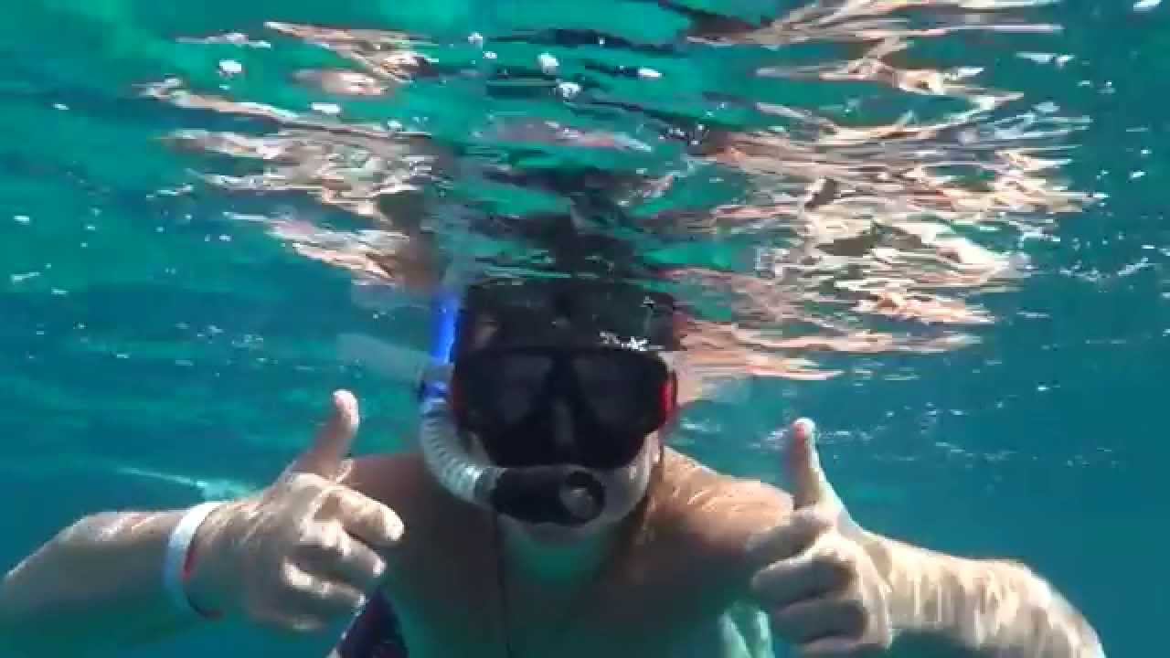 Египет . Рыба Наполеон любит куриные яйца .