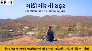 Gir | ગીર ના જંગલ માં બપોરે જામતો માલધારી નો ડાયરો | Gir Forest