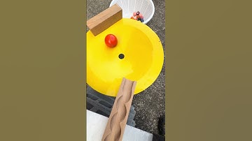 Healing Time Marble Run ☆ Marble Run Pros Play in a Short Video⑤