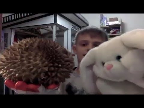 what-is-a-durian---the-funny-bunny-show