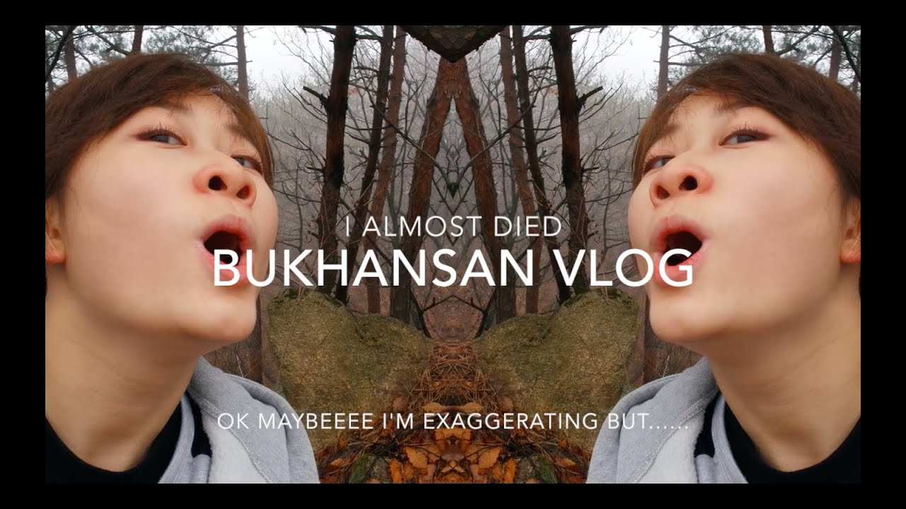 I ALMOST DIED | Korea Vlog - YouTube