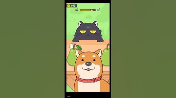 Hide and seek : Cat Escape #shorts Level 20