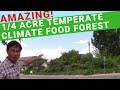 Amazing 1/4 Acre Small Scale Temperate Climate Permaculture Food Forest