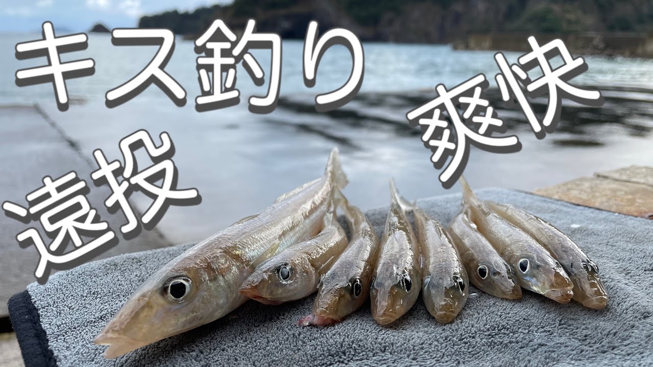 12月の伊根町本庄浜でフルキャストで落ちギスを狙ってみた