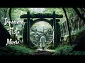 Serenity of Spring Forest with Zen and Japanese Flute Music - Meditation Music, Calming Music