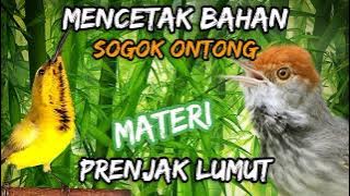 MASTERAN PRENJAK LUMUT||SOGON NAURA SOGON MOGOT||MATERI 2022