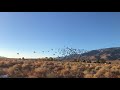 Race release 10/29/17