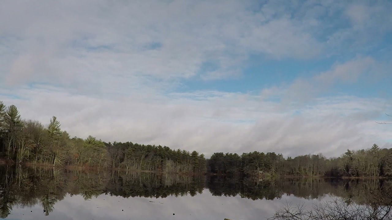 Slaughter - Noah Preminger and Kim Cass