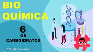 Roteiro 2 (bioquímica): Aula 6 - Os carboidratos (Professor Marco Nunes)