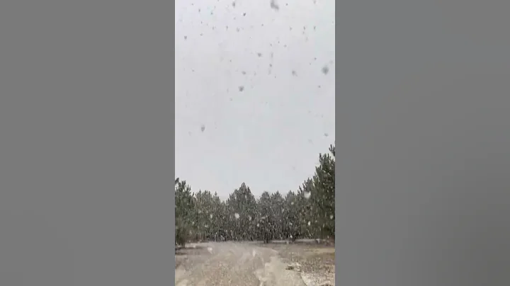 Giant snowflakes in April