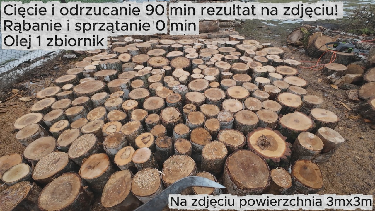 Pilarka elektryczna NAC tniemy brzozę pt2/3
