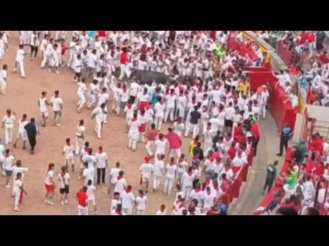 Bull Fight Arena Dramatic Bull Targets Same Man Twice WooGlobe