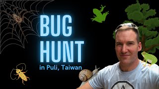 Night Time Bug Hunt in Taiwan!