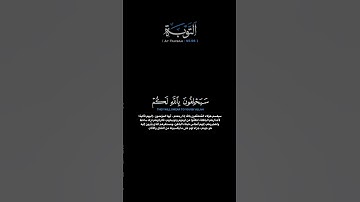 سورة التوبة الآية 95-96 مختار الحاج #قران #حالات_واتس#لايك #لايكات#اكسبلور #فيدوهات_قصيرة_دينية #usa