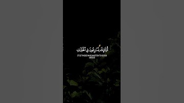 سورة المؤمنون