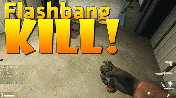 CS:GO - I got a Flashbang Kill!
