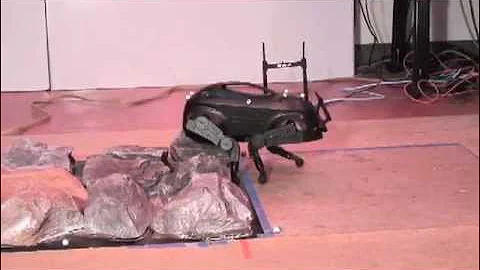 Quadruped Locomotion on Rough Terrain (LittleDog)