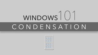 Lansing Window Condensation 101