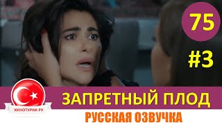 Запретный плод 75 серия на русском языке. 4 сезон [Фрагмент №3]