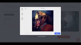 Image Transformations made simple